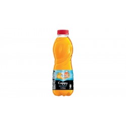 CAPPY ICE FRUIT MULTIVITAMIN 0,5L
